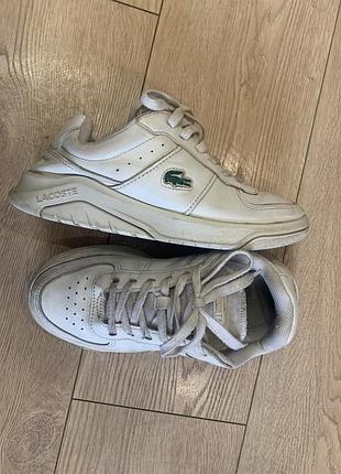 Жіночі кросівки lacoste білі
