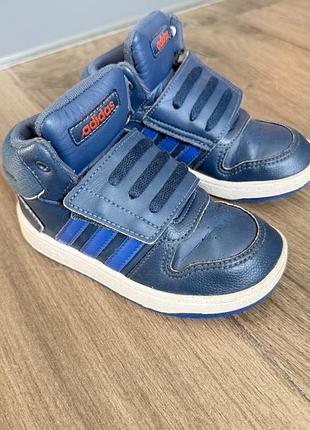 Кросівки  adidas на липучках 4