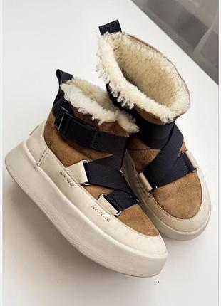 Женские ugg classic boom buckle boot brown white