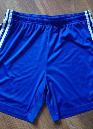 Брендовые шорты adidas.