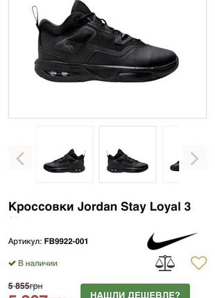 Кросівки jordan (vietnam) оригінал 10