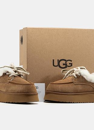 Женские угги ugg funkarra