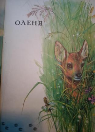 "по слідах веселих звірят" 3