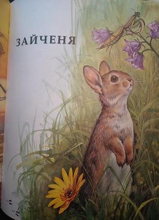 "по слідах веселих звірят" 5