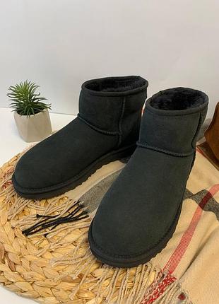 Ugg уггі угги чоботи жіночі сапоги валянки ugg classic mini 1016222