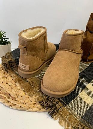 Ugg уггі угги чоботи жіночі сапоги валянки ugg classic mini 1016222