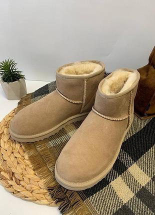 Ugg угги угги сапоги женские сапоги валянки ugg classic mini 1016222