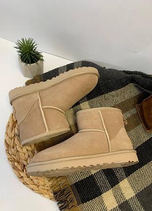 Ugg уггі угги чоботи жіночі сапоги валянки ugg classic mini 1016222