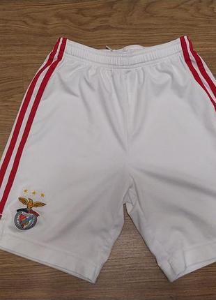 Шорти спортивні adidas для хлопчика 13-14 років benfica