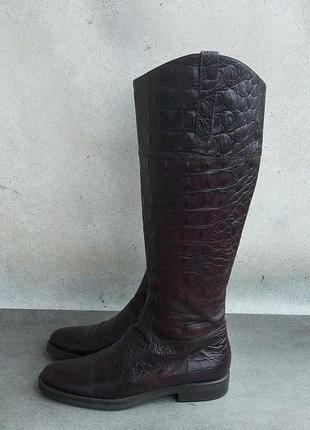 Сапоги жокейские studio pollini. размер 39.