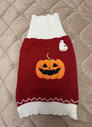 Светр для песика halloween