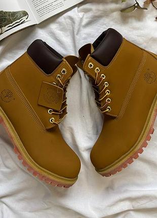 Timberland 6 inch beige 4