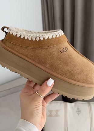 Уггі/капці ugg w tazz. tasman натуральні