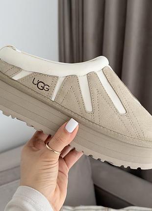 Жіночі трендові уггі/капці ugg tazz. ugg tasman