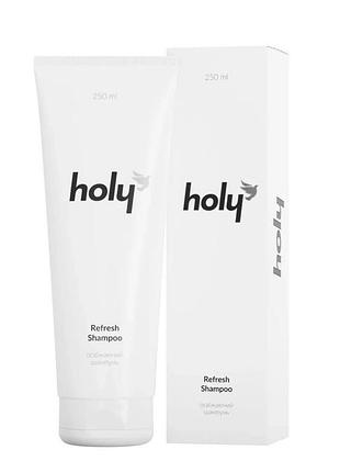 Шампунь holy refresh shampoo 250 мл
