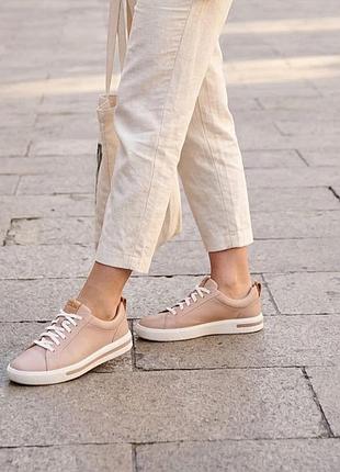 Бежево рожеві шкіряні кеди clarks