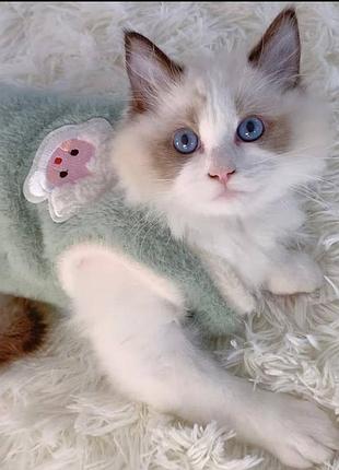 Мягкая одежда для котиков xl