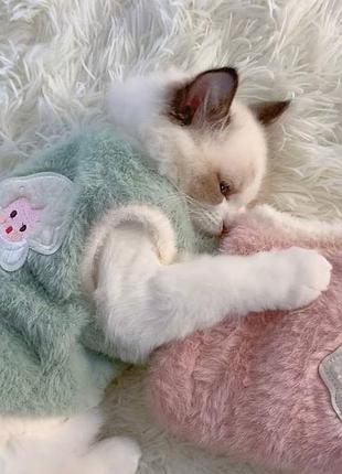 Мягкая одежда для котиков xl 3