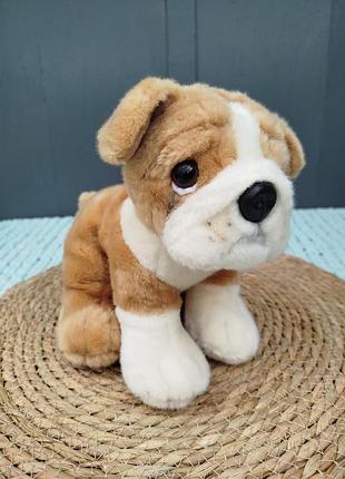 М'яка іграшка собака keel toys англійський бульдог біло-коричнева