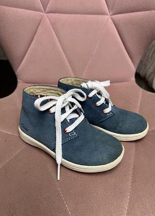 Черевики замшева clarks кларкс унісекс