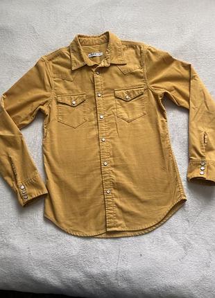 Сорочка чоловіча gap вельветова гірчична