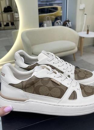 Кеди coach коричневі наявність