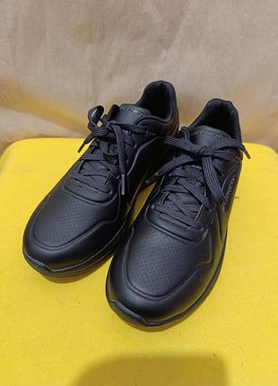 Кросівки skechers