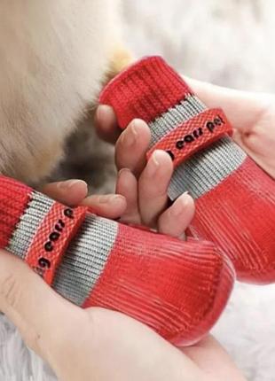 🐾 собачі чобітки xl ❤️ для осінньо-зимових прогулянок
