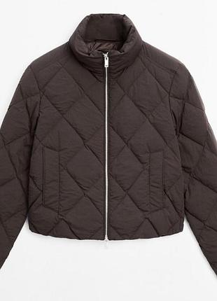 Куртка massimo dutti  xs