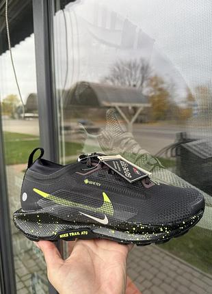Кросівки nike pegasus trail gtx(оригінал)