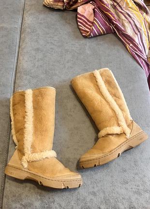 Угги чоботи ugg