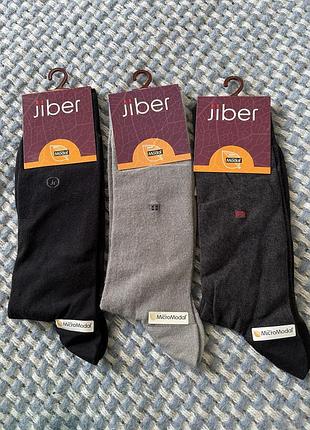 Шкарпетки чоловічі jiber, 3 пари