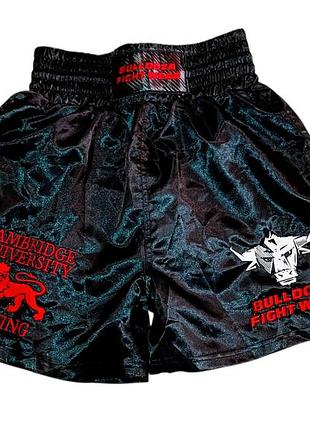 Боксерские шорты bulldoza fight wear