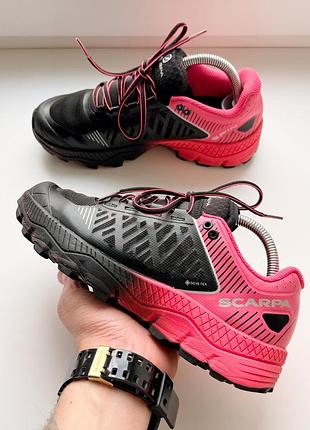 Женские кроссовки для трейлраннинга scarpa spin ultra gtx w