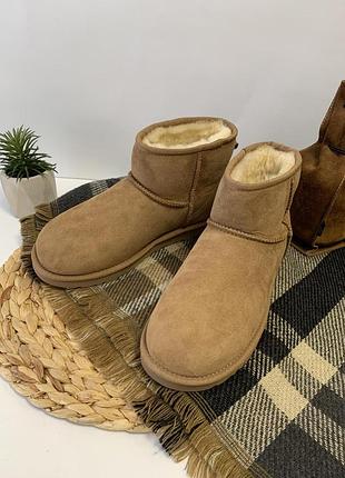 Уггі угги чоботи чоловічи ugg mens classic mini 2072