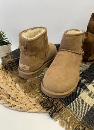 Угги угги сапоги мужские ugg mens classic mini 2072