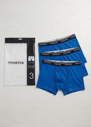 Набор трусов шорты мужской wooster 196063 l 3 шт синий (2200005168912)