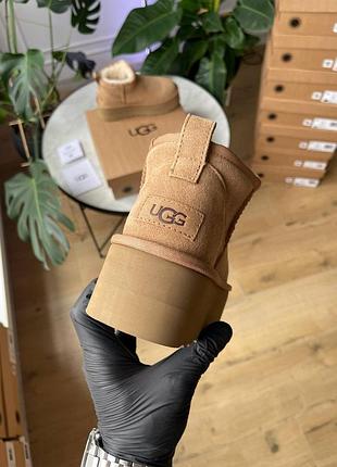 Женские угги ugg ultra mini platform chestnut 8