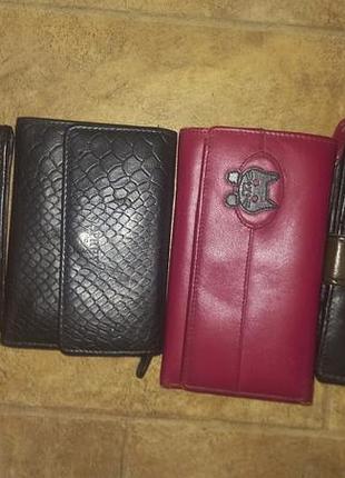 Набір жіночих шкіряних гаманців різних кольорів та дизайнів