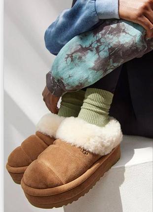 Женские угги ugg tazzlita chestnut