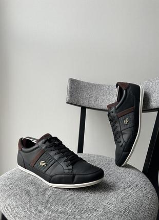Шкіряні чорні осінні чоловічі класичні кеди взуття кросівки lacoste