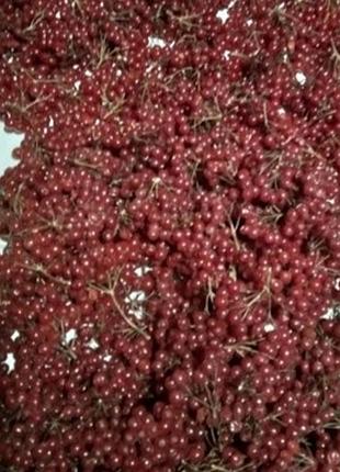Калина сушенная свежая для чая, настоянок