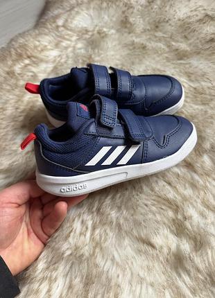 Дитячі сині кросівки adidas tensaur 26 розміру