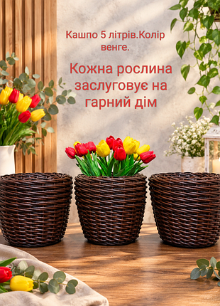 Кашпо з ротангу 5 літрів венге