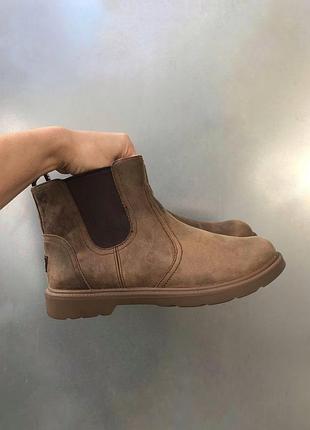 Шкіряні  челсі черевики ugg boots
