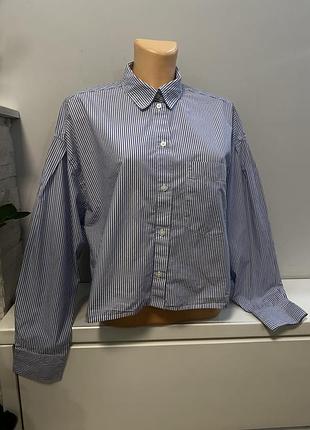 Блуза h&m у смужку 2