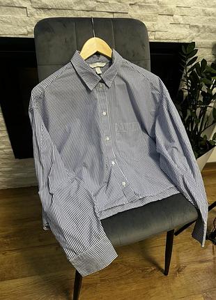 Блуза h&m у смужку 3