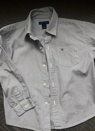 Сорочка для хлопчика tommy hilfiger у смужку