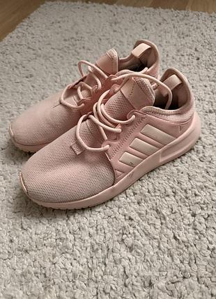 Кросівки жіночі adidas рожеві текстильні низькі