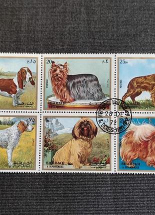 Шарджа. блок марок с собаками 1972 год